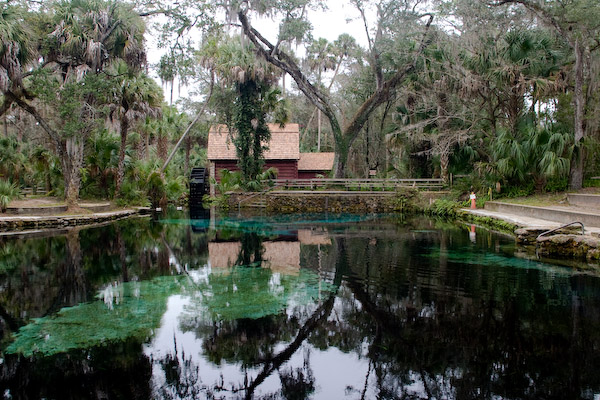 Juniper Springs